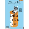 Günde Bir Doz Kedi