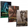 Harry Potter Film Dehlizi Serisi 3  Takım ( Karton Kapak)