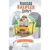 Hassas Kalpler Şehri