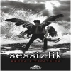 Hush Hush Serisi 3.  - Sessizlik (Ciltli)