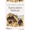 Karıncaların Dünyası