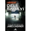 Labirent: Deli Sarayı