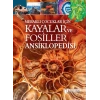 Meraklı Çocuklar İçin Kayalar Ve Fosiller Ansiklopedisi