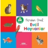 Minik larım – Evcil Hayvanlar