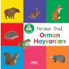 Minik larım – Orman Hayvanları