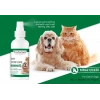 Pro Perfeck Kedi Ve Köpek Kiraz Çiçeği Parfüm 100 ml