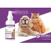 Pro Perfeck Kedi Ve Köpek Paçuli Parfüm 100 ml