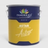 Rapid Astar 15 Kg Gri 7038