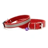 Reflektörlü Kedi ve Yavru Köpek Tasması 1,0x19 cm Kırmızı Small