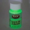 Rich 11294 Yeşil Karanlıkta Parlayan Hayalet Boya 50 cc