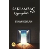 Saklambaç Oynayalım mı?