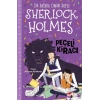 Sherlock Holmes - Peçeli Kiracı