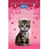 Terk Edilmiş Kedi Yavrusu
