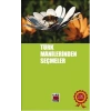Türk Manilerinden Seçmeler