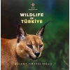 Wıldlıfe Of Türkiye