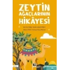 Zeytin Ağaçlarının Hikâyesi
