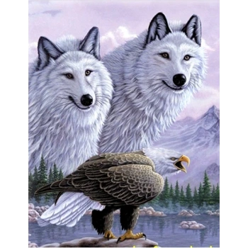 3 Boyutlu   Kartallı Kurt Resmi Tablosu 40x60 cm