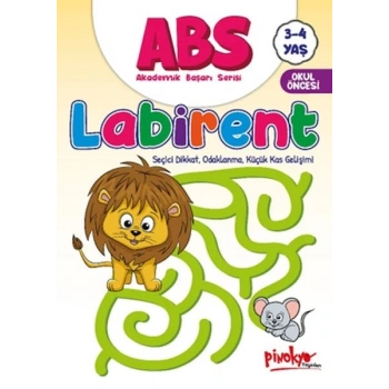 ABS 3-4 Yaş Labirent