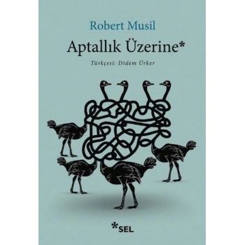 Aptallık Üzerine