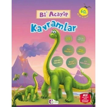 Bi Acayip Kavramlar