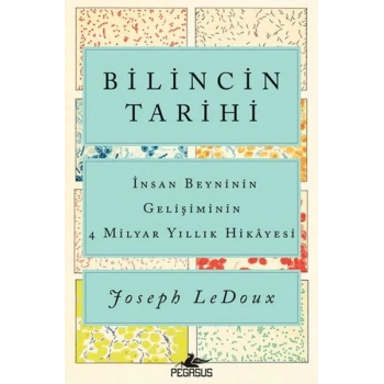 Bilincin Tarihi: İnsan Beyninin Gelişiminin 4 Milyar Yıllık Hikayesi