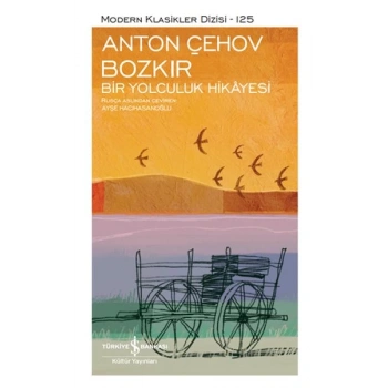 Bozkır Bir Yolculuk Hikayesi - Modern Klasikler Dizisi (Şömizli)