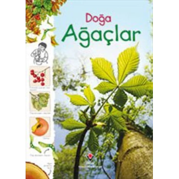Doğa - Ağaçlar