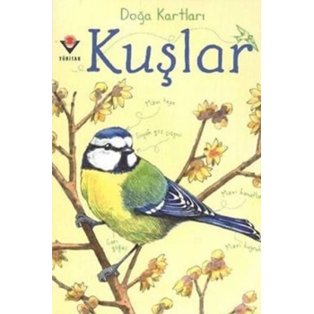 Doğa Kartları - Kuşlar