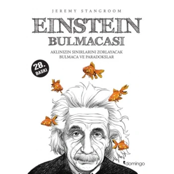 Einstein Bulmacası  Aklınızın Sınırlarını Zorlayacak Bulmaca ve Paradokslar