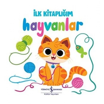 Hayvanlar - İlk lığım
