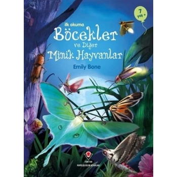 İlk Okuma - Böcekler ve Diğer Minik Hayvanlar