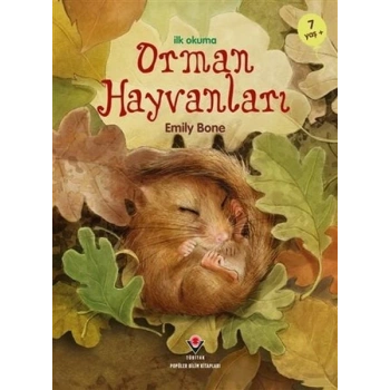 İlk Okuma - Orman Hayvanları