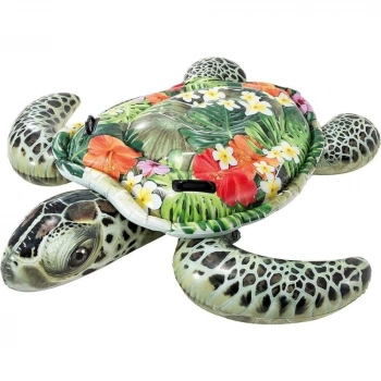 Kaplumbağa Bin Git  191x170 Cm