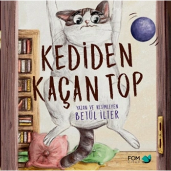 Kediden Kaçan Top