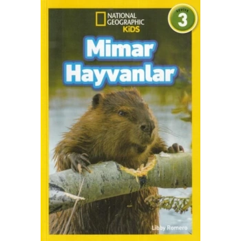 Kids - Mimar Hayvanlar - Seviye 3