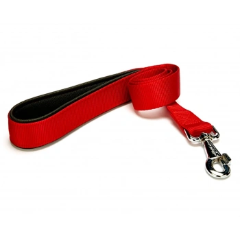 Köpek Gezdirme Kayışı 1,5 cm x 115 cm Kırmızı
