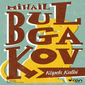 Köpek Kalbi