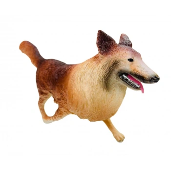 Köpekler - Golden Retriever Cinsi Köpek