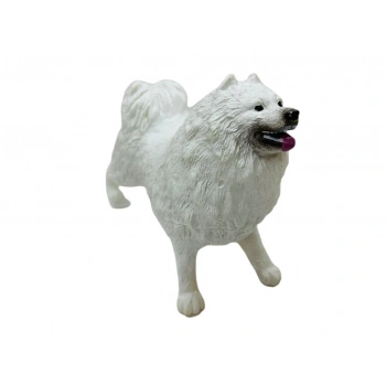 Köpekler - Samoyed Cinsi Köpek