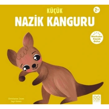 Küçük k Kanguru