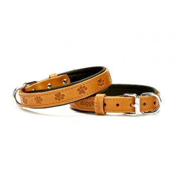 Küçük Köpek Tasması Pati Desenli 45 cm Small