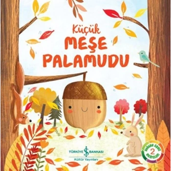 Küçük Meşe Palamudu Doğanın Eşsiz Hikayeleri 2