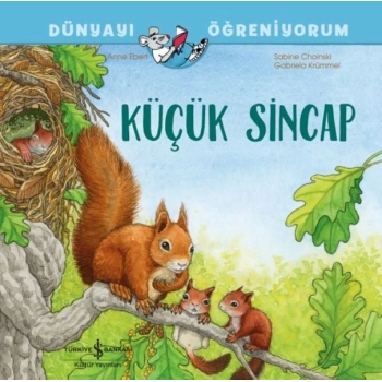 Küçük Sincap Dünyayı Öğreniyorum