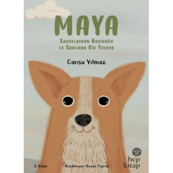 Maya - Sokaklardan Barınağa ve Sonunda Bir Yuvaya