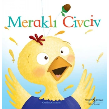 Meraklı Civciv
