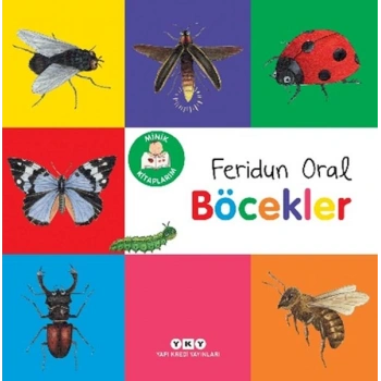 Minik larım – Böcekler