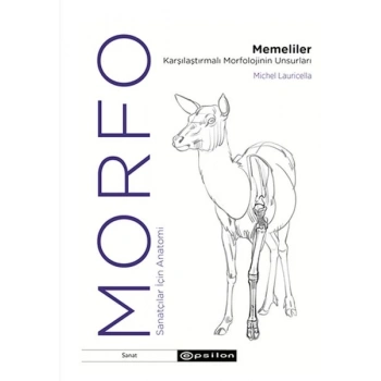 Morfo - Memeliler Karşılaştırmalı Morfolojinin Unsurları
