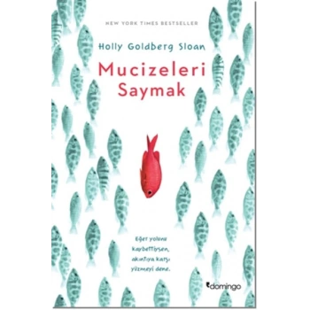 Mucizeleri Saymak