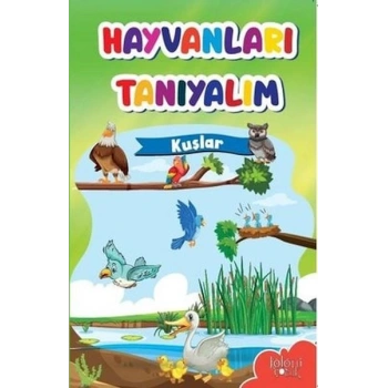 Muhteşem Çizimler ve Kolay Anlatım ile Hayvanları Tanıyalım Kuşlar