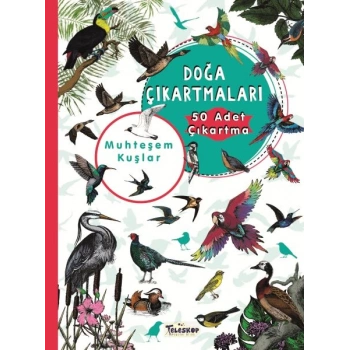 Muhteşem Kuşlar - Doğa Çıkartmaları